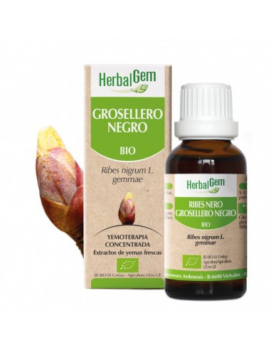 HERBALGEM GROSELLERO NEGRO 15ML